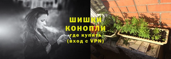 гидра Осинники