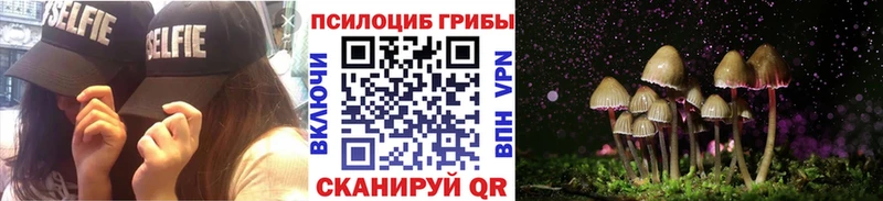 Галлюциногенные грибы Psilocybe  Лысьва 